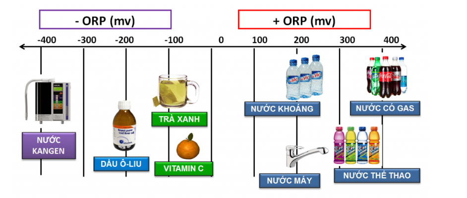 Chỉ số ORP của một số đồ uống