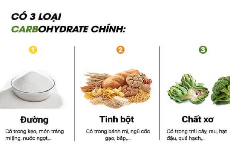 co-bao-nhieu-loai-carbohydrate