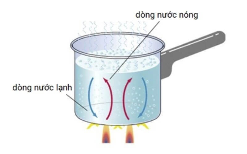 doi-luu-la-gi-2