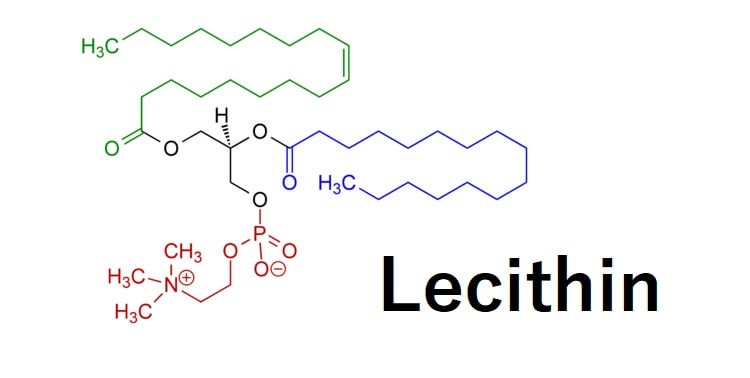 lecithin