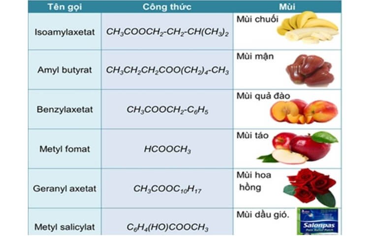 mui-thom-cua-mot-so-este-thuong-gap