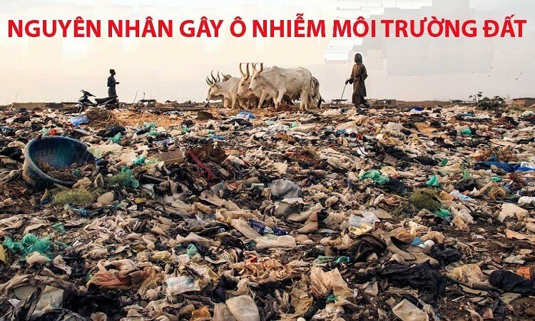 nguyen-nhan-gay-o-nhiem-moi-truong-dat-4