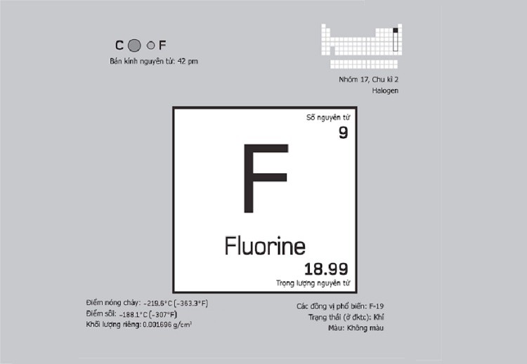 nguyen-to-flo-1