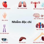 nhiem-doc-chi-2