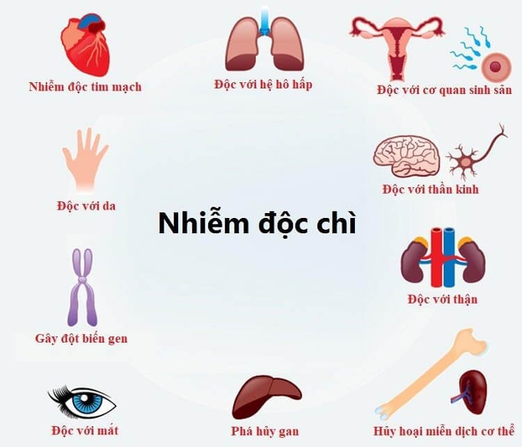 nhiem-doc-chi-2