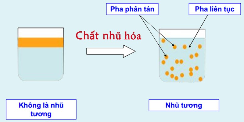 nhu-tuong-la-gi-2