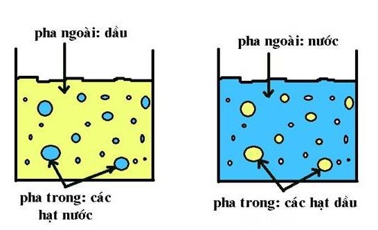 nhu-tuong-la-gi-9