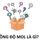 Nồng độ mol là gì