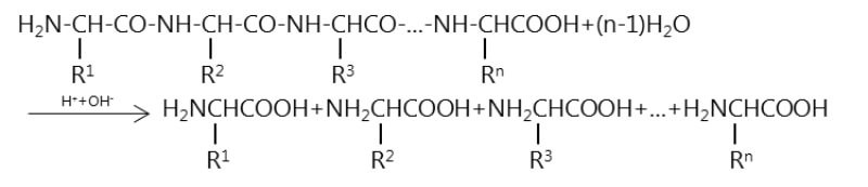 peptit-la-gi-4