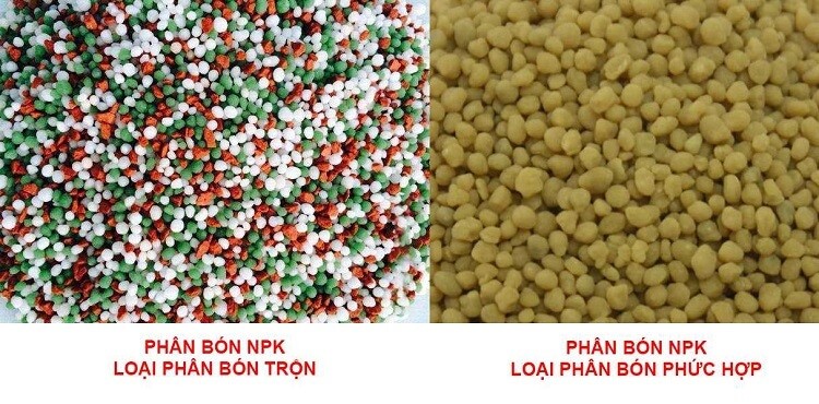 phan-bon-hon-hop