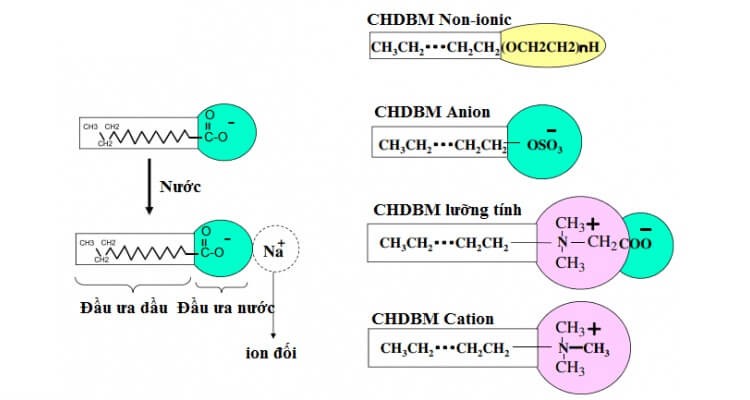 phan-loai-chat-hdbm