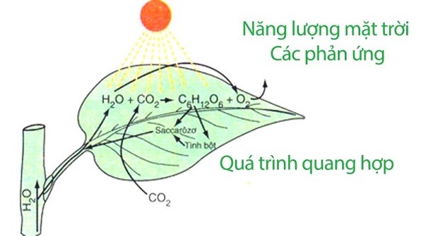 phan-ung-oxi-hoa-khu-2