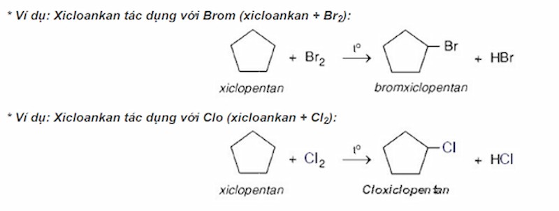 phan-ung-the-xicloankan